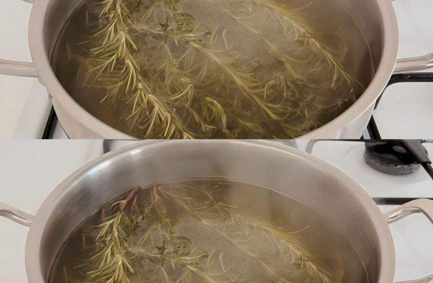 Kochen Sie 5 Rosmarinzweige, Sie werden ein lästiges Problem los