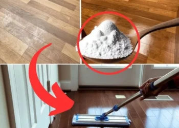 Glänzende Böden ohne Chemie: Entdecken Sie das Geheimnis einiger Reinigungsunternehmen