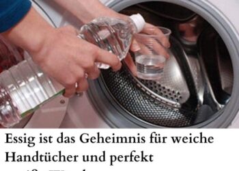 Ja Essig hilft dabei die Waschmaschine gründlich zu reinigen
