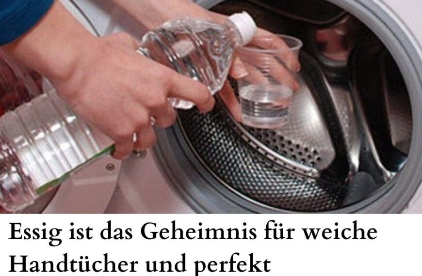 Ja Essig hilft dabei die Waschmaschine gründlich zu reinigen