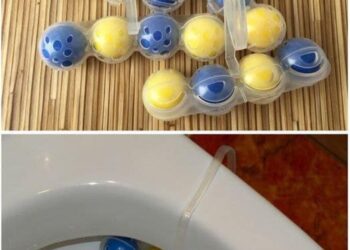 Unser ganzes Leben lang haben wir den Toilettenblock falsch benutzt- Ich habe ihn am Rand aufgehängt, aber es muss anders gemacht werden