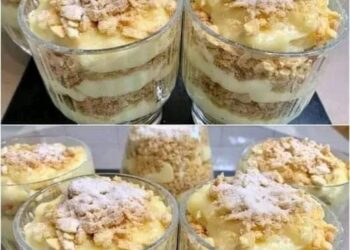Wenn ich faul bin, mache ich immer dieses Dessert. „Napoleon im Glas“: Sie müssen sich nur die Finger lecken. In 2 Minuten gegessen