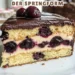 Donauwelle aus der Springform – Der Klassiker im neuen Look