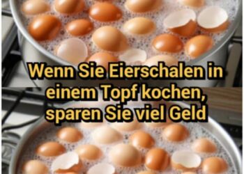 Wenn Sie Eierschalen in einem Topf kochen, sparen Sie viel Geld