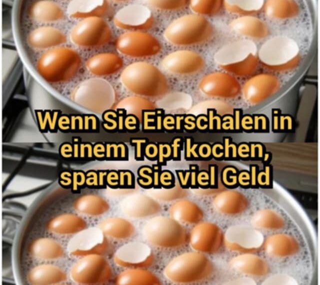 Wenn Sie Eierschalen in einem Topf kochen, sparen Sie viel Geld