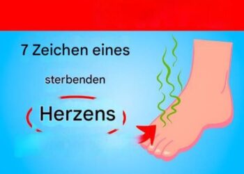 7 Anzeichen dafür, dass Ihr Herz in ernsthafter Gefahr ist