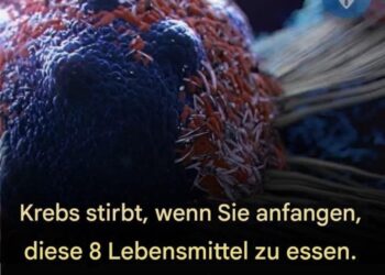 8 wirksame Anti-Krebs-Lebensmittel, die Sie in Ihre Ernährung aufnehmen sollten