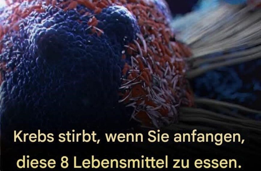 8 wirksame Anti-Krebs-Lebensmittel, die Sie in Ihre Ernährung aufnehmen sollten