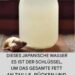 Das gesündeste Getränk zum Fettverbrennen an Bauch, Nacken, Armen, Rücken und Oberschenkeln
