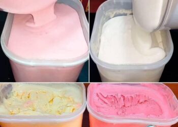 Einfaches Eisrezept: nur 4 Zutaten, sehr cremig, hervorragende Ausbeute