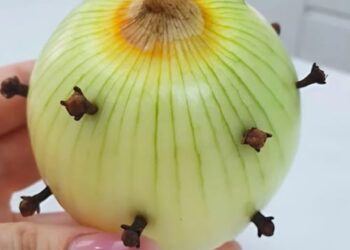 Darum steckt meine Oma immer Nelken in Zwiebeln