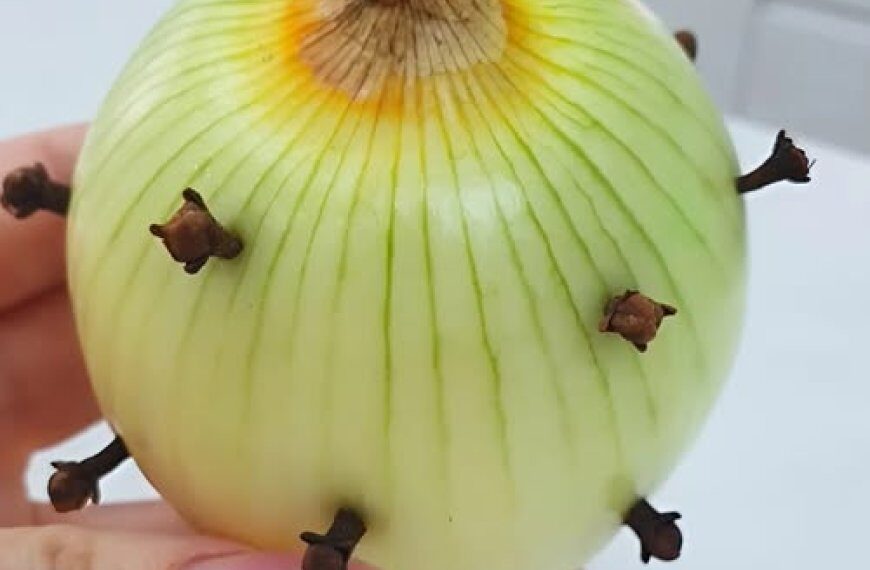 Darum steckt meine Oma immer Nelken in Zwiebeln