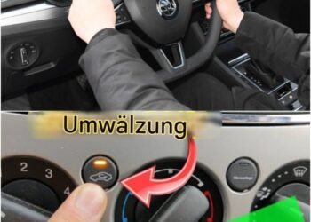 Ein sehr notwendiger Knopf im Auto, an den sich viele Fahrer nicht erinnern, den sie nicht kennen und den sie nicht benutzen