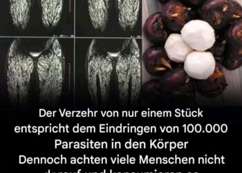 Jeden Tag konsumieren wir scheinbar harmlose Nahrungsmittel, die in Wirklichkeit jedoch potenziell gefährliche mikroskopische Parasiten beherbergen können.