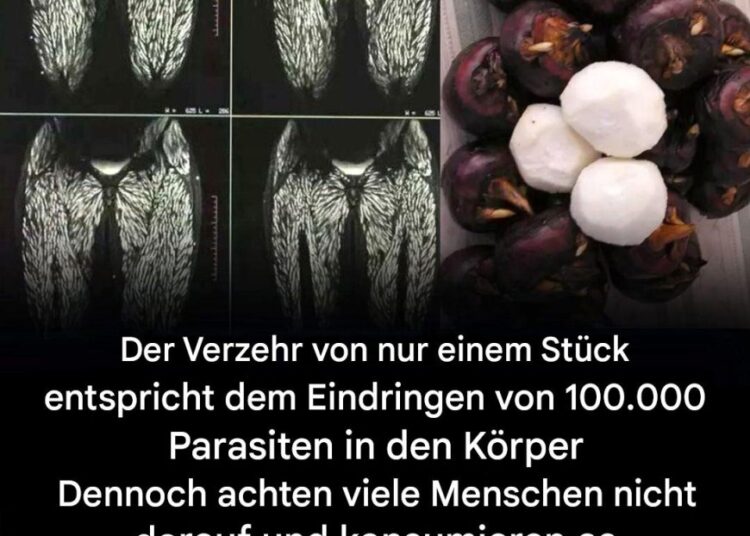 Wolkenkuchen ohne Mehl - Welt Rezept