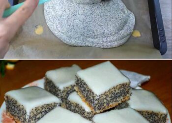 Wooow, Suchtgefahr pur! Quark-Mohn-Kuchen - in nur 5 Minuten im Ofen und himmlisch lecker