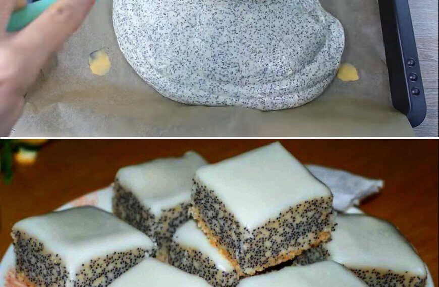 Wooow, Suchtgefahr pur! Quark-Mohn-Kuchen - in nur 5 Minuten im Ofen und himmlisch lecker
