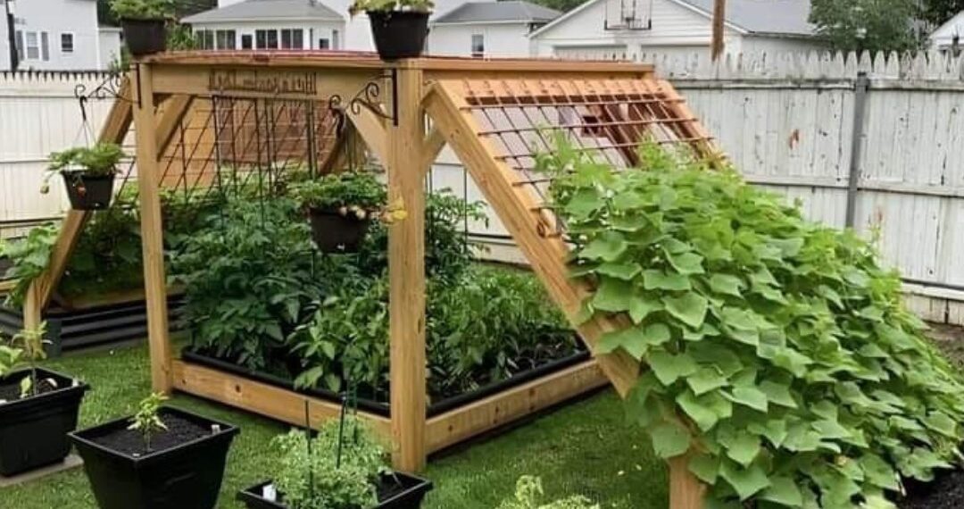 Klettergerüst-Ideen für den Garten!
