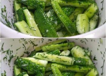 Leicht gesalzene « Minute »-Gurken. "Mein Mann fragt nur nach diesem Rezept"