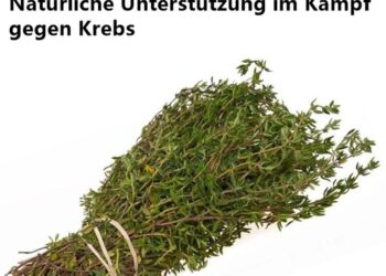 Natürliche Unterstützung im Kampf gegen Krebs