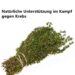 Natürliche Unterstützung im Kampf gegen Krebs