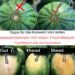So findest du die perfekte Wassermelone – in nur wenigen Sekunden! 🍉⏱️