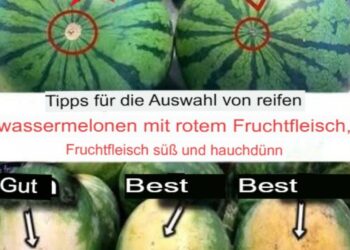 So findest du die perfekte Wassermelone – in nur wenigen Sekunden! 🍉⏱️