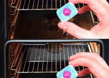 Tipps zum Reinigen des Backofens. Sogar verbranntes Fett verschwindet