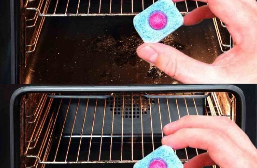 Tipps zum Reinigen des Backofens. Sogar verbranntes Fett verschwindet