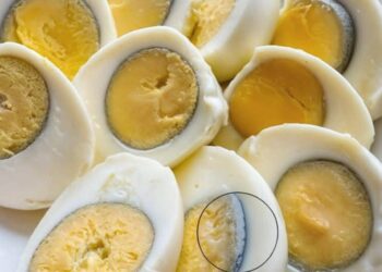 Was bedeutet der grüne Kreis um die Eier