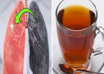 Wie man die Lunge reinigt und alle Niko-tin, Schleim- und Giftrückstände beseitigt