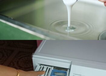 3 Tropfen Shampoo in der Waschmaschinenschublade: Das Geheimnis der Wäscherei