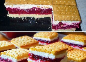 Butterkeks-Himbeer-Traum, herrlich knusprig