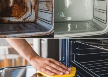 Der schnellste Trick der Welt für einen stumpfen, fettfreien Backofen