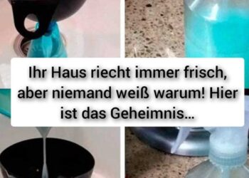 Ihr Haus riecht immer frisch, aber niemand weiß warum! Hier ist das Geheimnis…