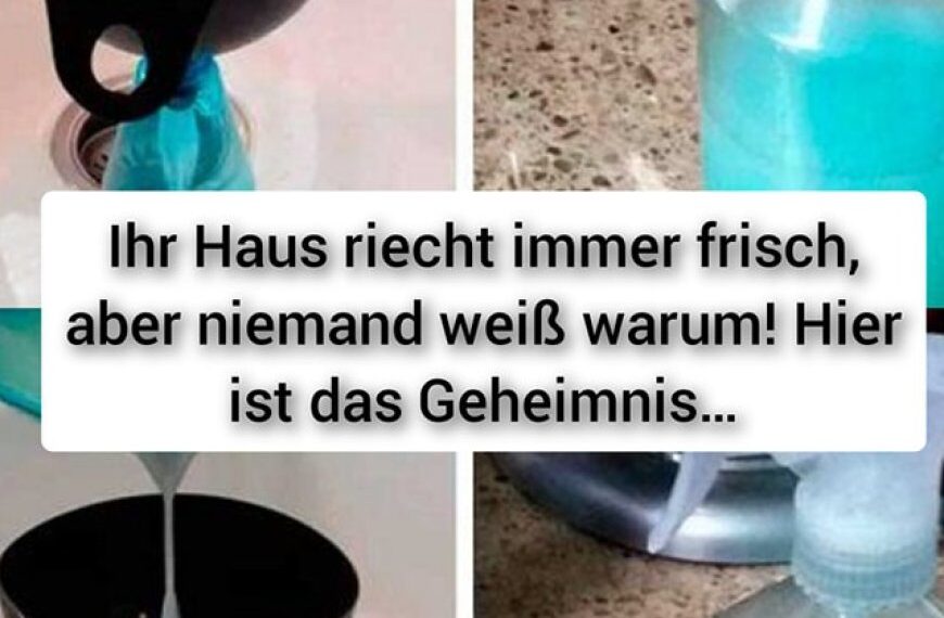 Ihr Haus riecht immer frisch, aber niemand weiß warum! Hier ist das Geheimnis…
