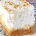 Leckeres Dessert mit Ananas