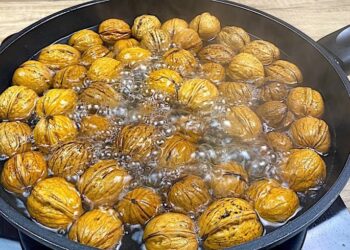 Legen Sie eine Walnuss in kochendes Wasser! Meine Großmutter hat mir dieses Geheimnis verraten