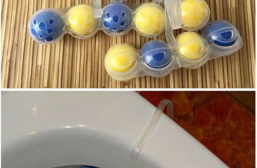 Mein ganzes Leben lang habe ich den Toilettenblock falsch benutzt
