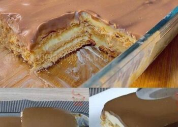 Milch Keks Kuchen Ein einfaches und cremiges Dessert