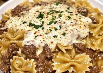 Schmetterlinge mit Rindfleisch, Sahne, Knoblauch und Parmesan