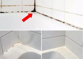 Silikonfugen von Schimmel befreien: So funktioniert’s