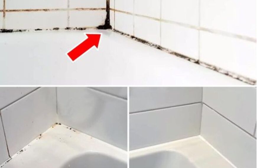 Silikonfugen von Schimmel befreien: So funktioniert’s