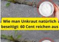 Wie man Unkraut natürlich beseitigt- 60 Cent reichen aus