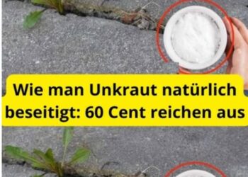 Wie man Unkraut natürlich beseitigt- 60 Cent reichen aus