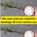Wie man Unkraut natürlich beseitigt- 60 Cent reichen aus