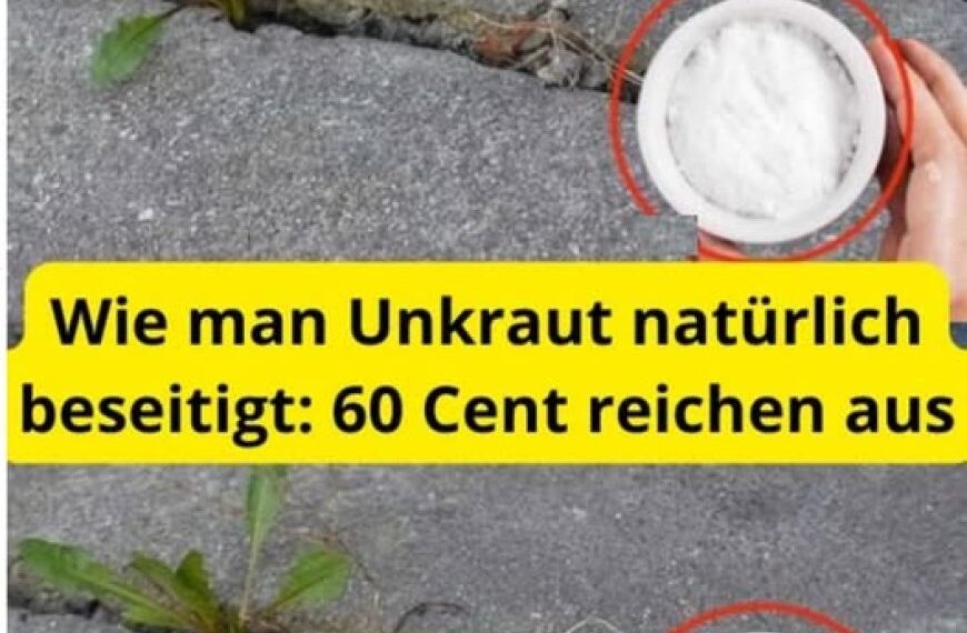 Wie man Unkraut natürlich beseitigt- 60 Cent reichen aus