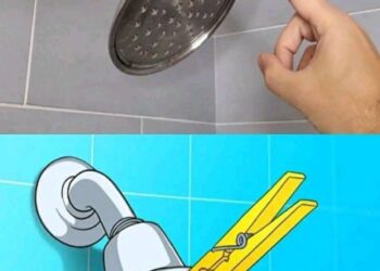 Warum eine Wäscheklammer über die Dusche hängen: Wer es einmal weiß, macht es immer