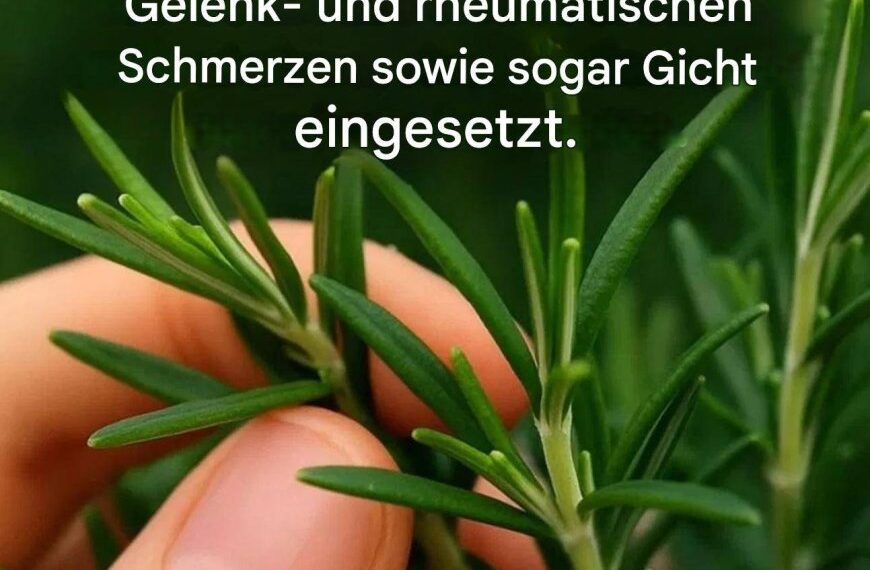 Wie kann man diese Pflanze zu Hause in Hülle und Fülle anbauen