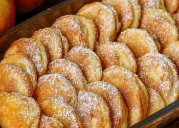 Apfelringe mit Joghurt, die backe ich fast zweimal pro Woche, einfach soo lecker